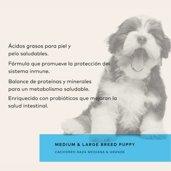 GrandPet Back 2 Nature Cachorro Raza Mediana y Grande 15 kg - Imagen 3