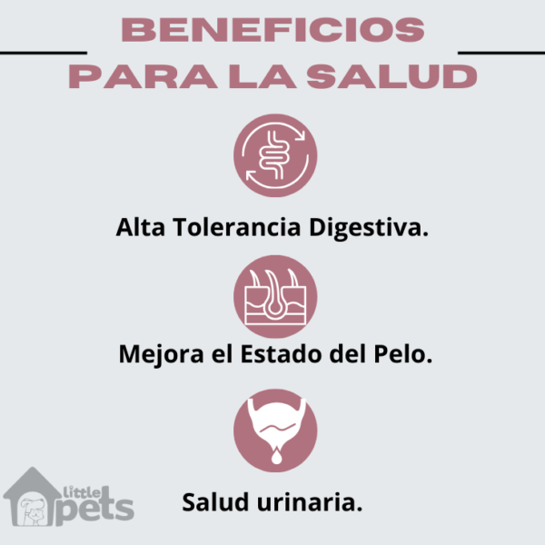 Alimento Virbac Senior Large & Medium 12 kg - Imagen 3