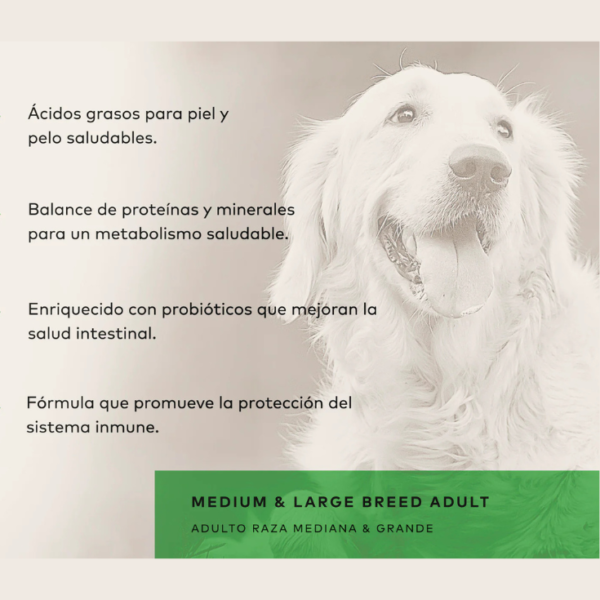 GrandPet Back 2 Nature Adulto Razas Medianas y Grandes 15 kg - Imagen 4