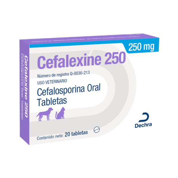 Dechra Cefalexine 250 mg