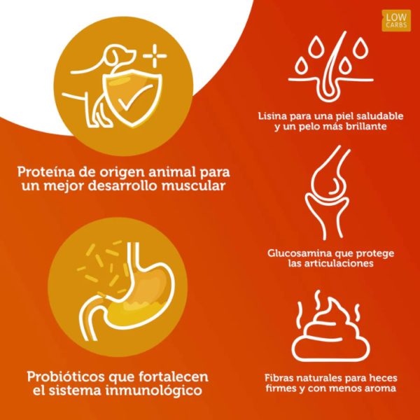 GrandPet Carne Fresca Force Razas Medianas y Grandes 20 kg - Imagen 4