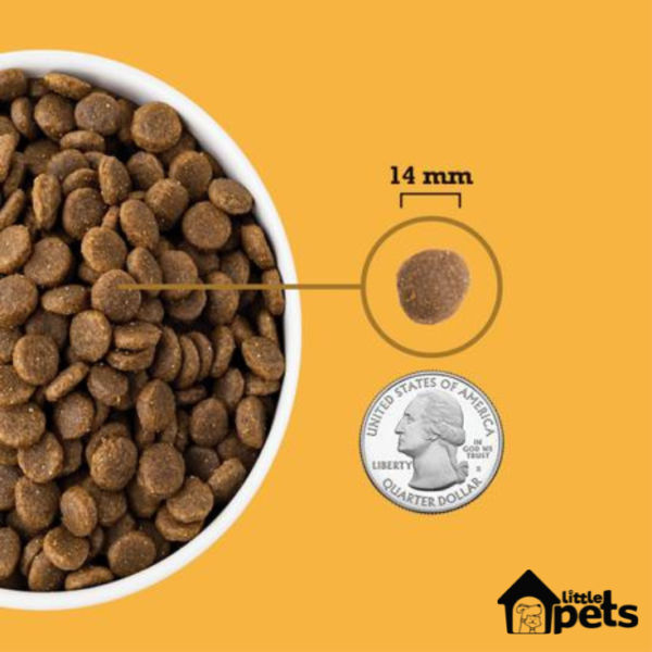 Acana Free Run Poultry 11.3 kg - Imagen 4