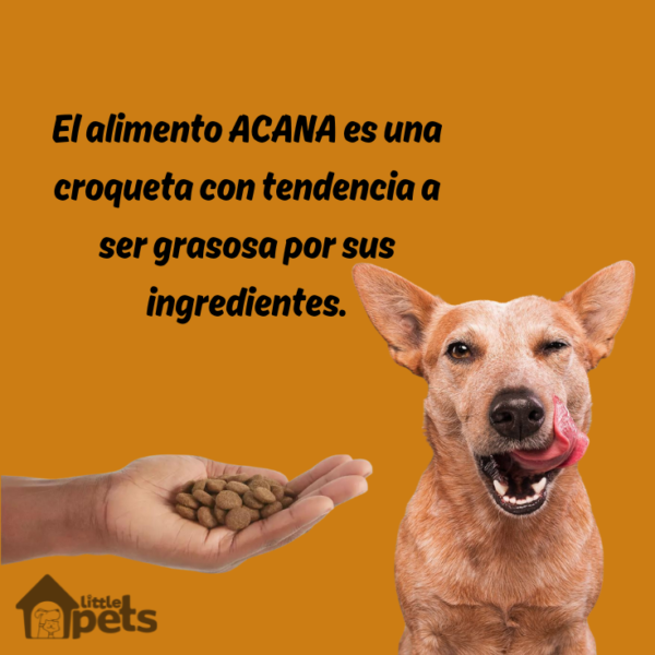 Acana Dog Meadowlands 11.3 kg - Imagen 6