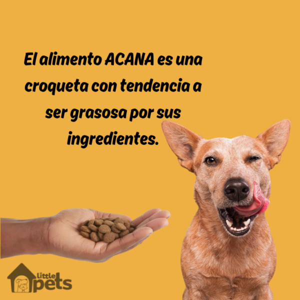 Acana Free Run Poultry 11.3 kg - Imagen 6