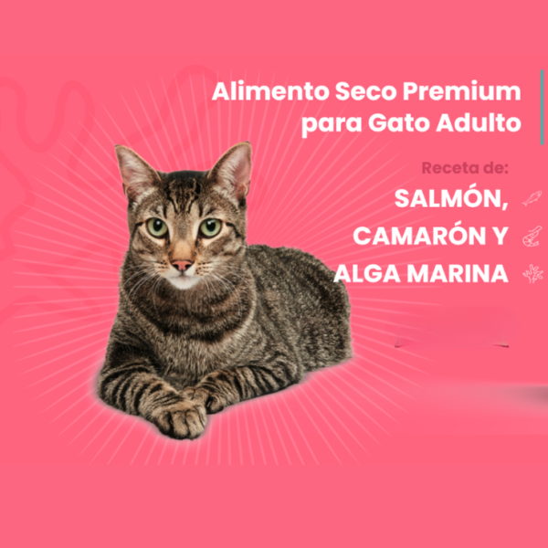 GrandPet Kisha Gato Adulto 12 kg - Imagen 3