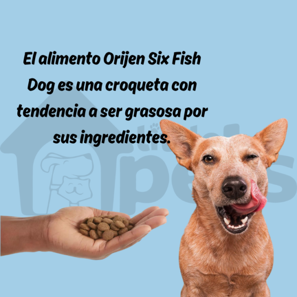 Orijen Six Fish Dog 5.9 kg - Imagen 7
