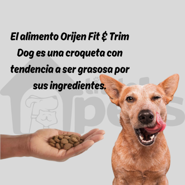 Orijen Fit & Trim Dog 10.6 kg - Imagen 7