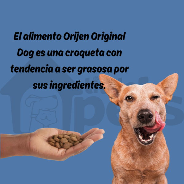 Orijen Original Dog 10.6 kg - Imagen 4