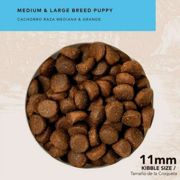 GrandPet Back 2 Nature Cachorro Raza Mediana y Grande 15 kg - Imagen 5