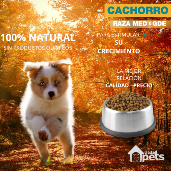 Perfect Sense Cachorro Razas Medianas y Grande 8 kg - Imagen 5