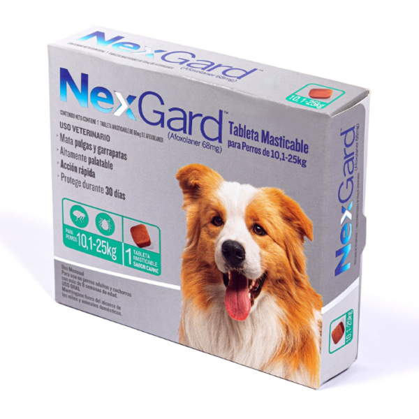 Nexgard Grande 10>25 kg 1 Masticable - Imagen 3