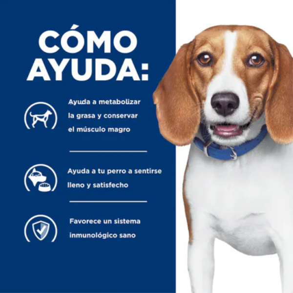 Hill's Prescription Diet R/D Weight Loss Canine 3.8 kg - Imagen 4