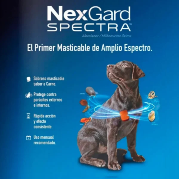 Nexgard Spectra Small 3.5>7.5kg 1 Masticable - Imagen 2