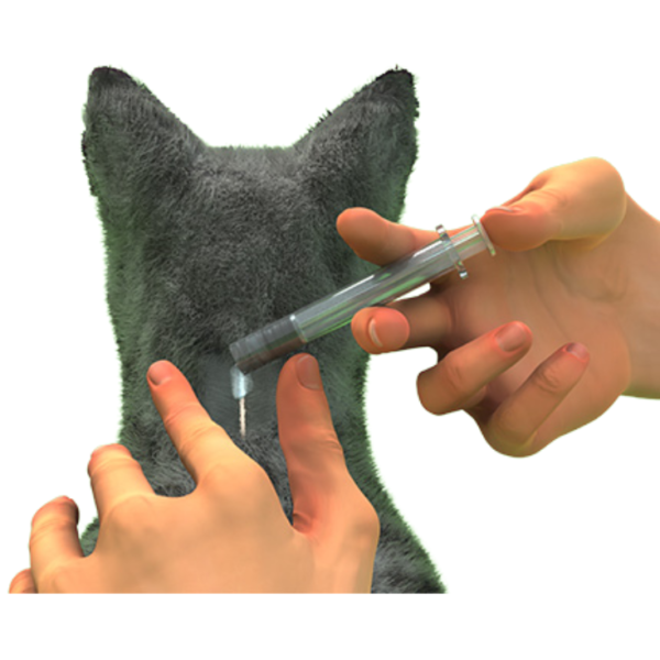 Nexgard Feline Combo L Jeringa 2.5>7.5 kg - Imagen 4