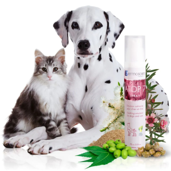 Lapisa Dermoscent Atop 7 Spray 75 ml - Imagen 2
