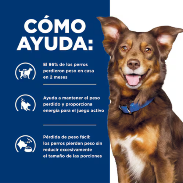 Hill's Prescription Diet Metabolic Canine 12.5 kg - Imagen 4
