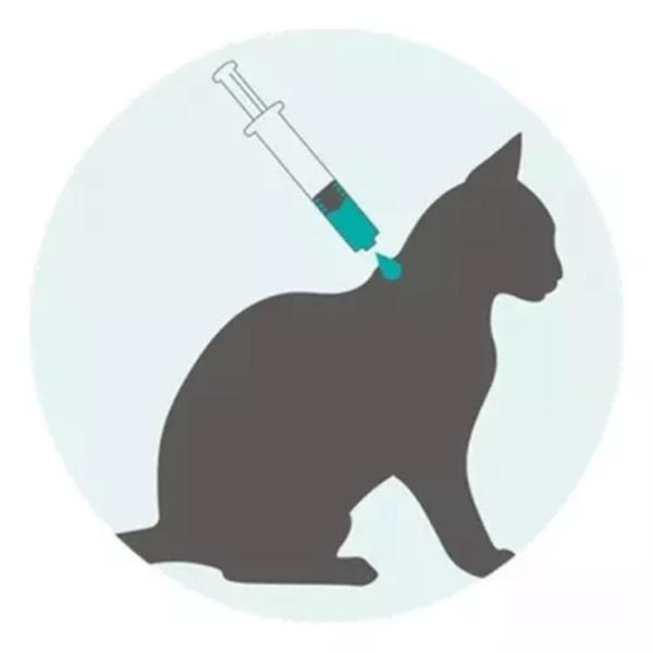 Nexgard Feline Combo L Jeringa 2.5>7.5 kg - Imagen 3