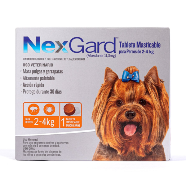 Nexgard Small 2>4 kg 1 Masticable