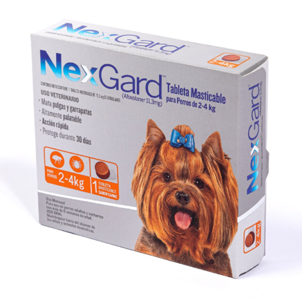 Nexgard Small 2>4 kg 1 Masticable - Imagen 2