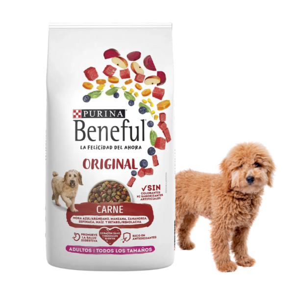 Purina Beneful Original Carne Adulto Todas Las Razas 20 kg