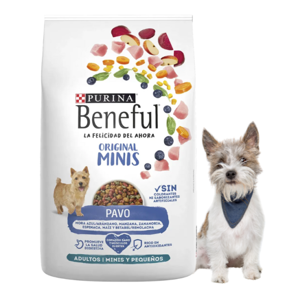 Purina Beneful Original Adultos Minis Pavo 10 kg