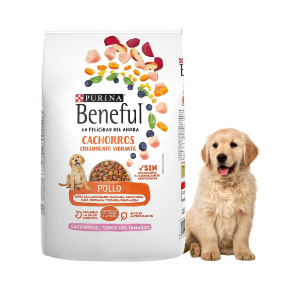 Purina Beneful Pollo Cachorros Todos Los Tamaños 10 kg