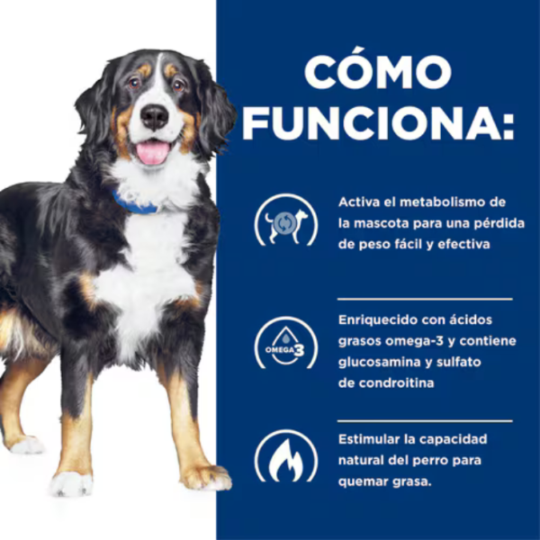 Hill's Prescription Diet Metabolic + Mobility Canine 3.8 kg - Imagen 3
