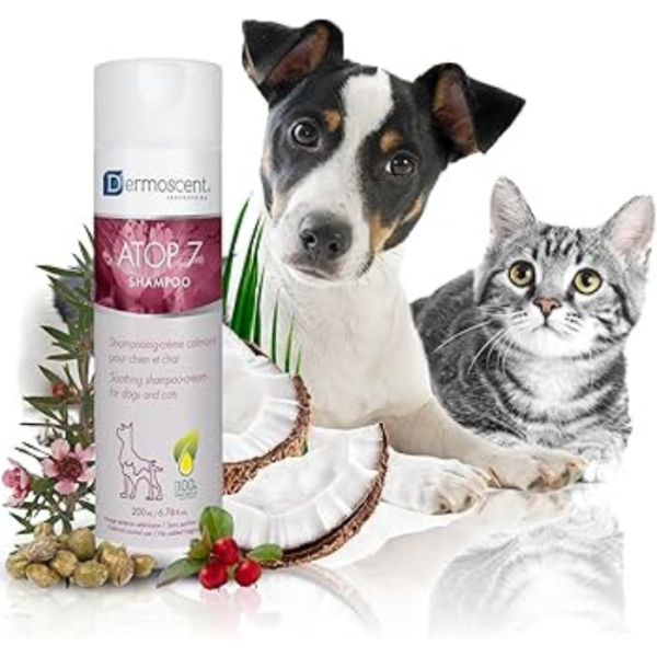 Lapisa Dermoscent Atop 7 Shampoo 200 ml - Imagen 2