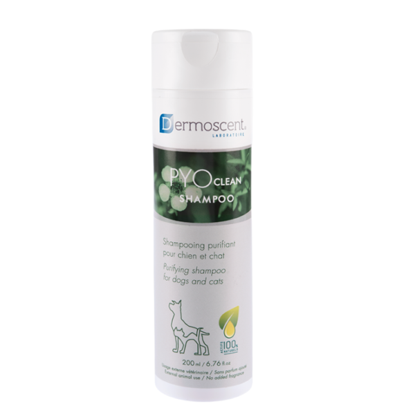 Lapisa Dermoscent PYOclean Shampoo 200 ml