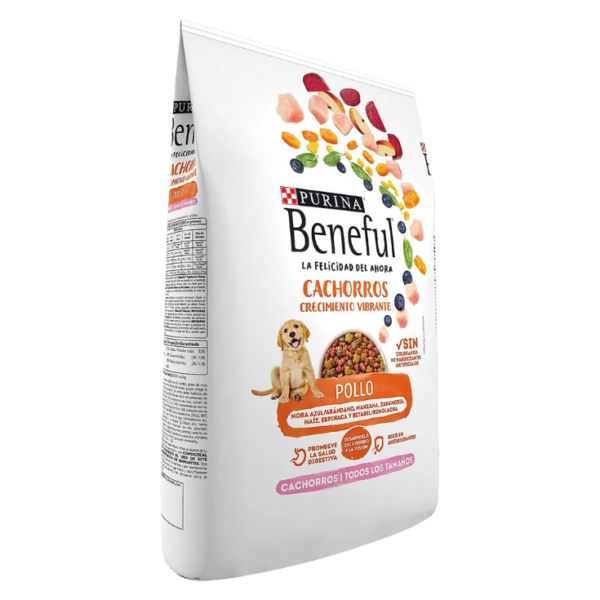 Purina Beneful Pollo Cachorros Todos Los Tamaños 10 kg - Imagen 4
