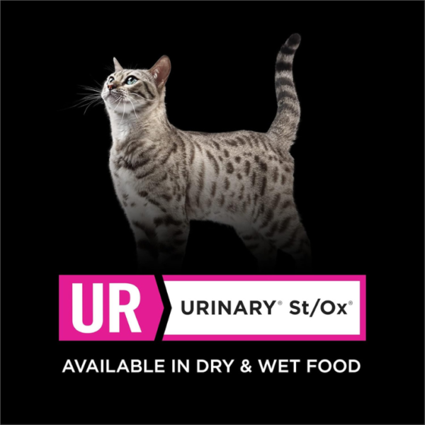 Pro Plan Veterinary Diets UR Urinary St/Ox Feline Pack de 2 bolsas de 2.7 kg - Imagen 5