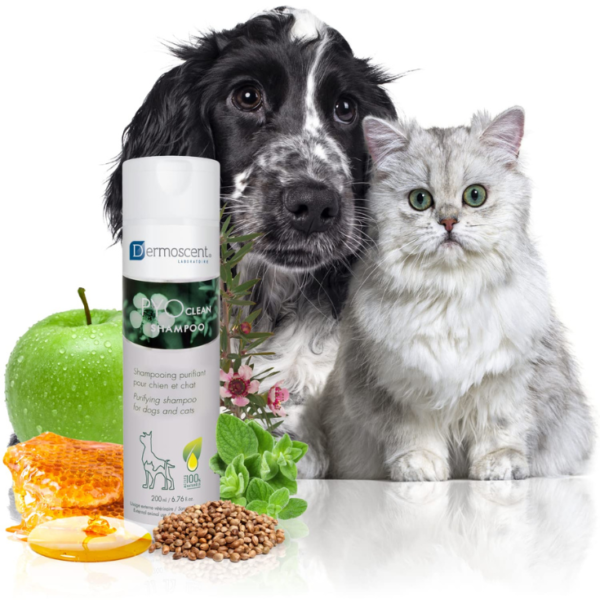 Lapisa Dermoscent PYOclean Shampoo 200 ml - Imagen 3