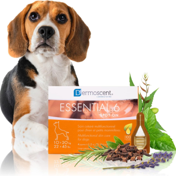 Lapisa Dermoscent Essential 6 Spot On Dog 10 > 20 kg - Imagen 2