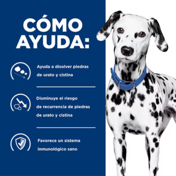Hill's Prescription Diet U/D Urinary Care Canine 12.5 kg - Imagen 4