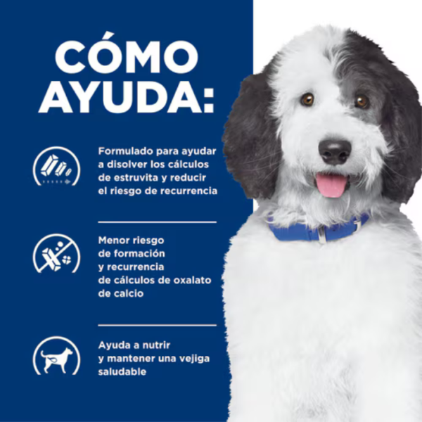 Hill's Prescription Diet C/D Multicare Urinary Care Canine 12.5 kg - Imagen 4