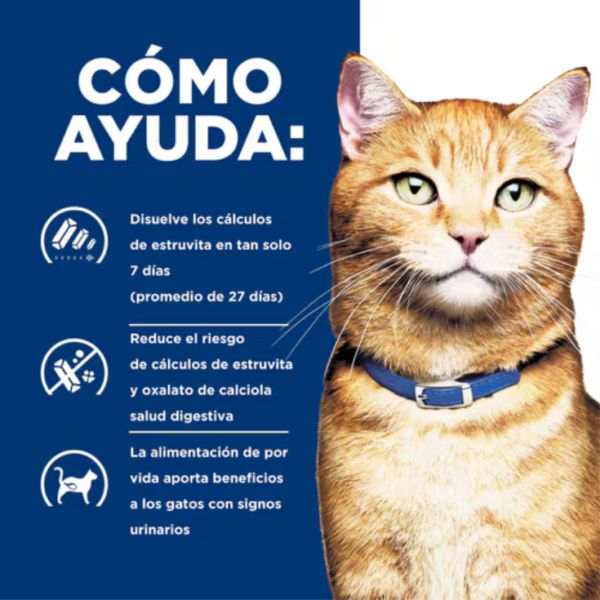 Hill's Prescription Diet C/D Urinary Care Feline 1.8 kg - Imagen 4