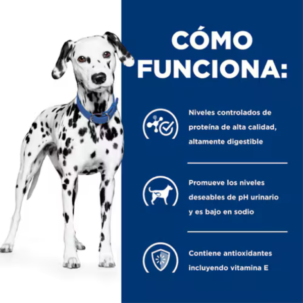 Hill's Prescription Diet U/D Urinary Care Canine 12.5 kg - Imagen 3