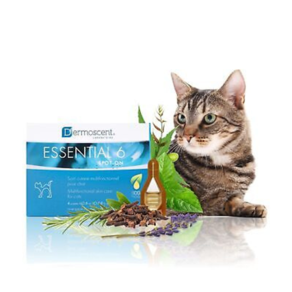 Lapisa Dermoscent Essential 6 Spot On Cat - Imagen 2