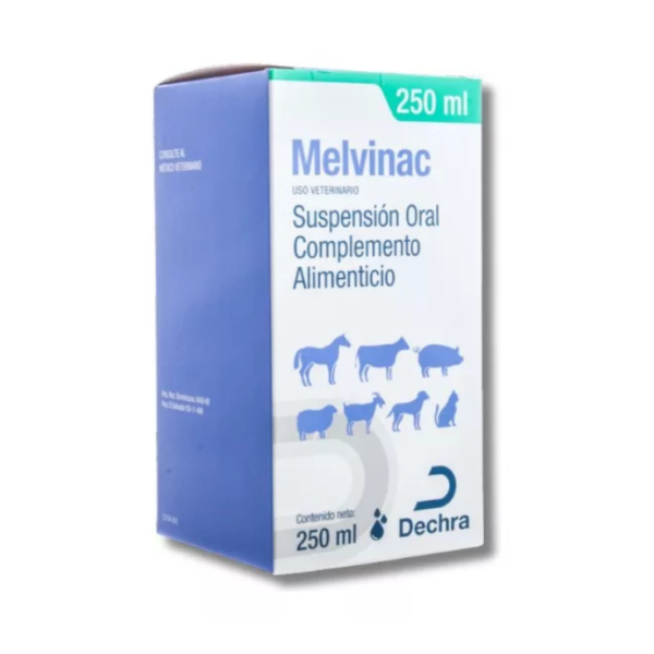 Dechra Melvinac Jarabe 250 ml