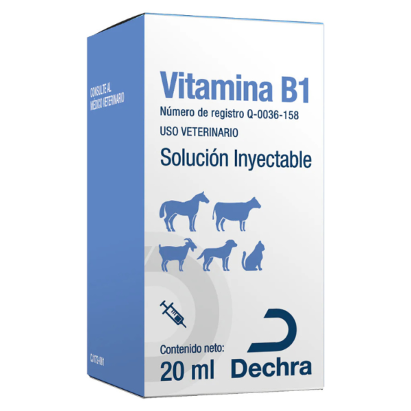 Dechra Vitamina B1 20 ml