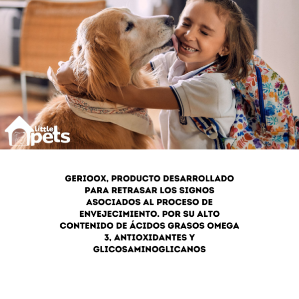 Labyes Gerioox Canine y Feline 30 Comprimidos - Imagen 2