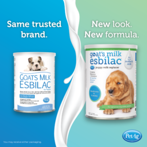 PetAg Esbilac Leche De Cabra En Polvo Para Cachorros 2.27 Kg + Kit - Imagen 2