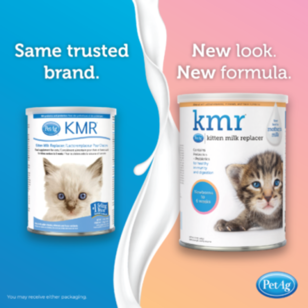PetAg KMR Sustituto De Leche En Polvo Para Gatitos 340 Gr + Biberón - Imagen 3
