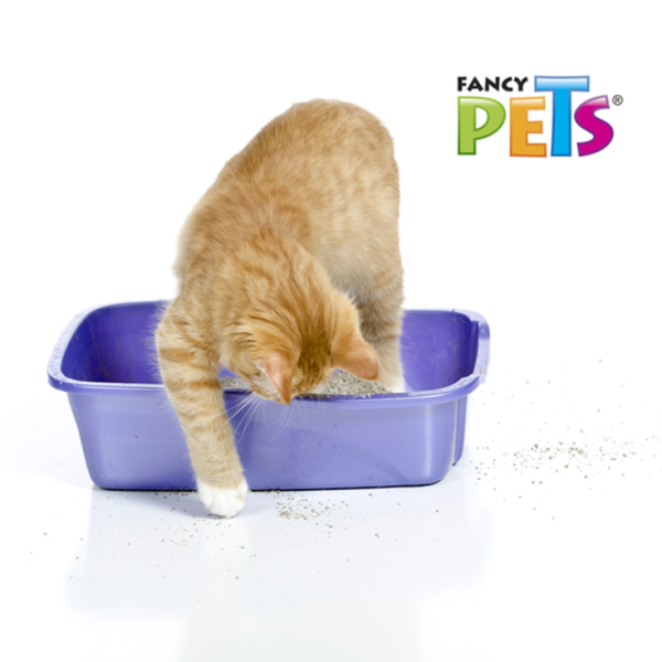 Fancy Pets Arenera Para Gatos Garrafa 12.5 Kg - Imagen 3