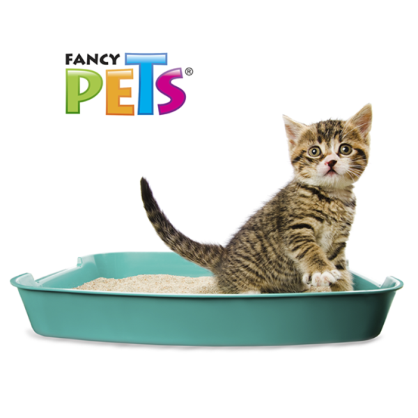 Fancy Pets Arena Para Gatos Caja 12.5 Kg - Imagen 3