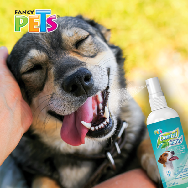Fancy Pets Spray Dental 125 mL - Imagen 2