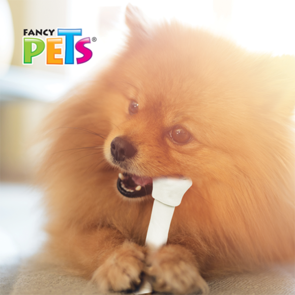 Fancy Pets Carnaza Dental (10-13 cm) 2 Piezas - Imagen 3