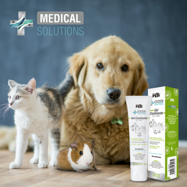 Medical Solutions Gel Cicatrizante de Kiwi 70 Gr - Imagen 6