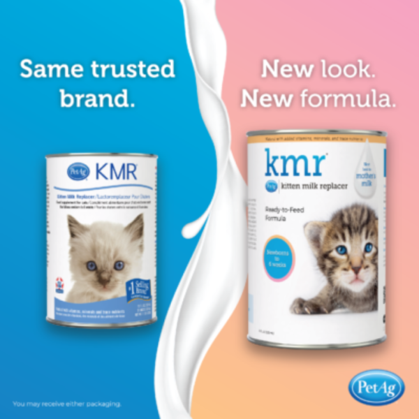 PetAg KMR Sustituto De Leche Líquida Para Gatitos 325 mL + Biberón - Imagen 2
