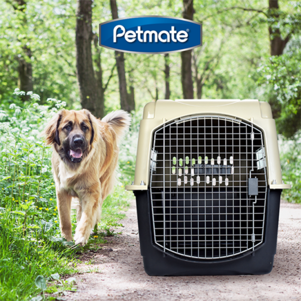 Petmate Transportadora Vari Kennel Extra Grande - Imagen 4